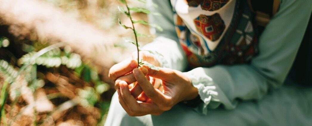 close-up-hand-holding-plant